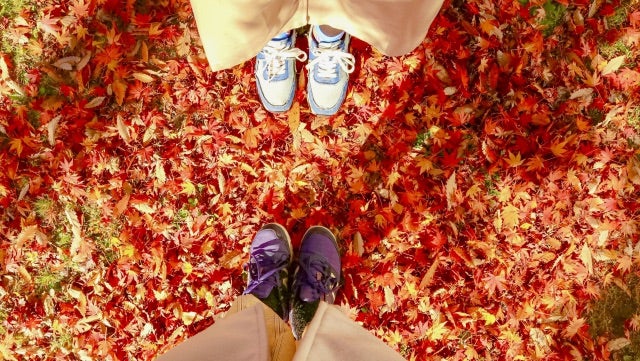 秋はぎっくり背中／ぎっくり腰になりやすい？！