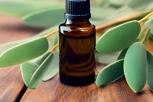 季節の変わり目、体調崩していませんか？免疫力アップにもリンパケア