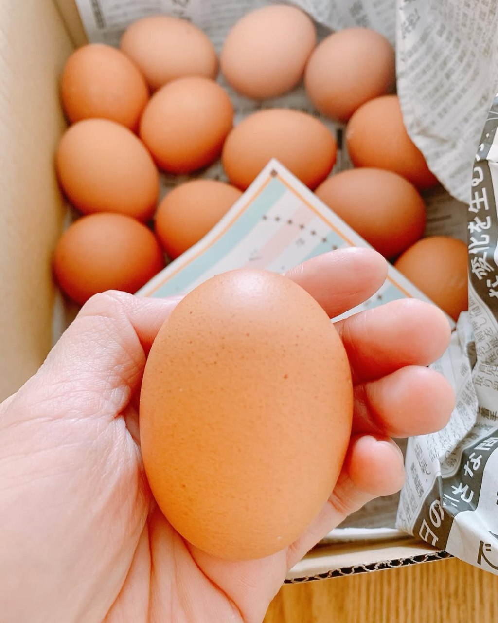 産みたて卵をいただきました♪