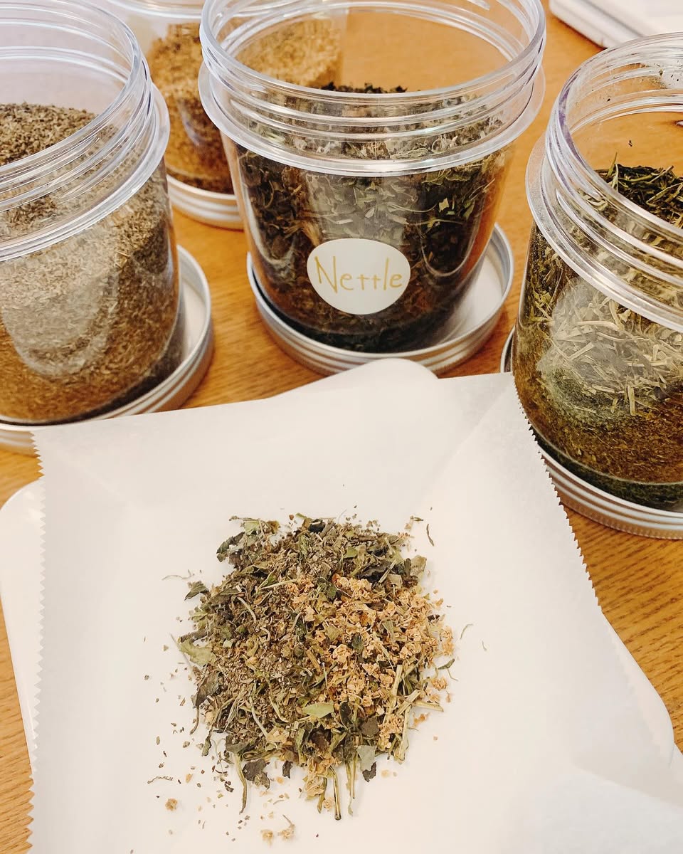 春のお茶ができました♪