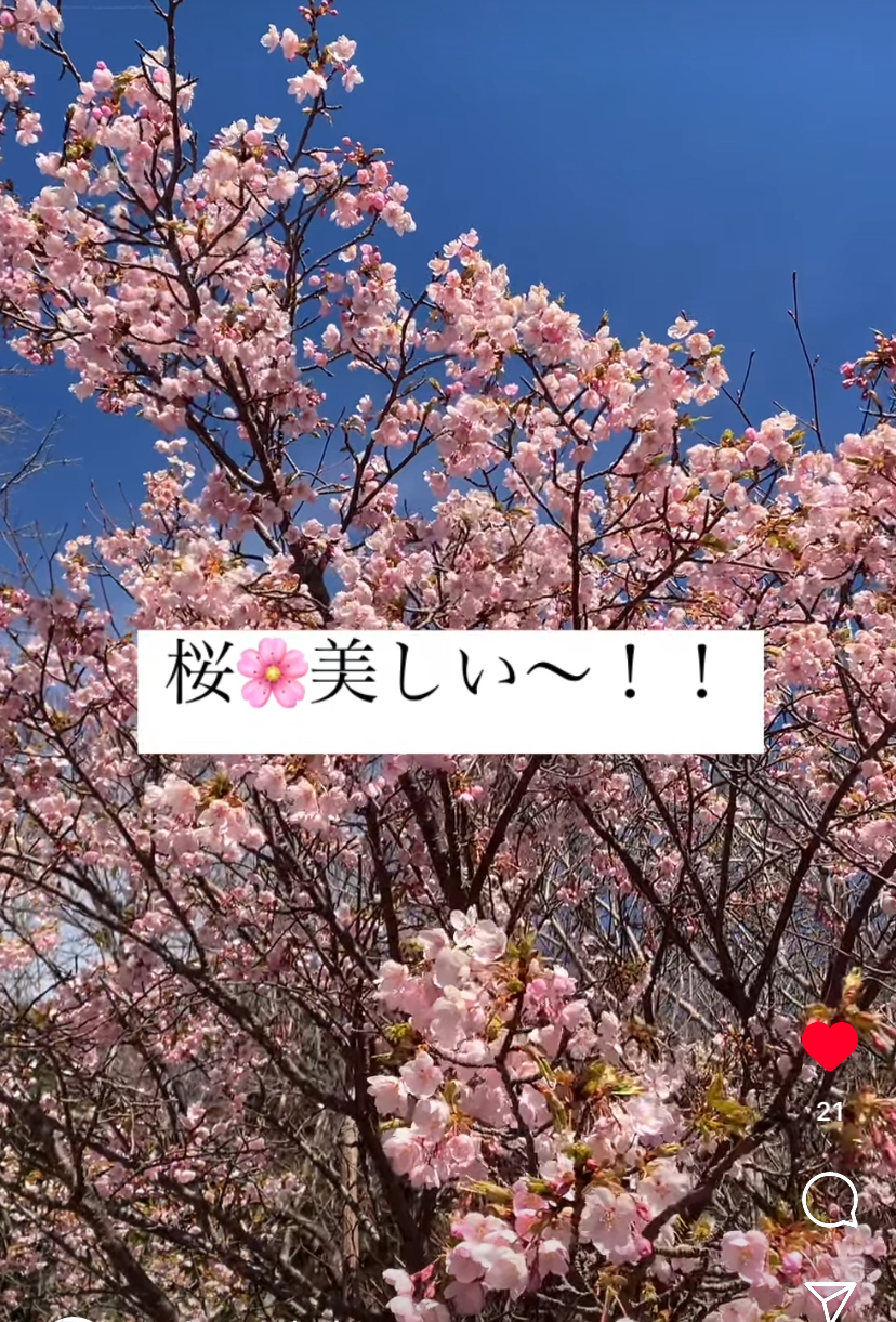 「自分を大事にする」を感じた伊豆への旅