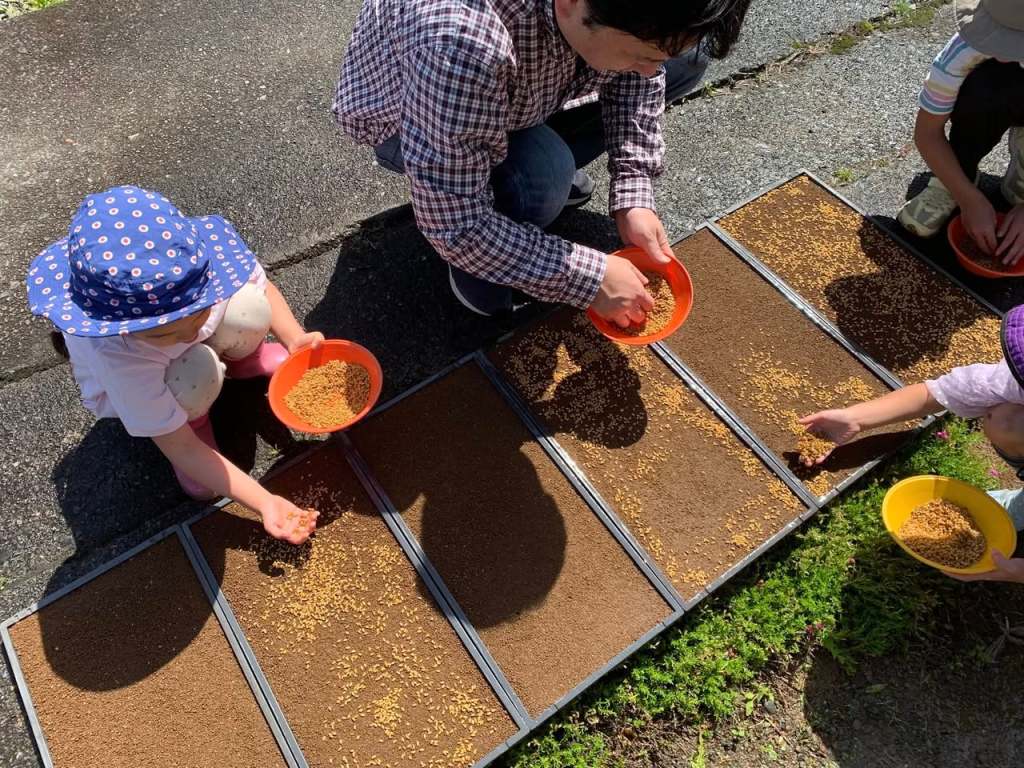 籾まきを体験してきました！